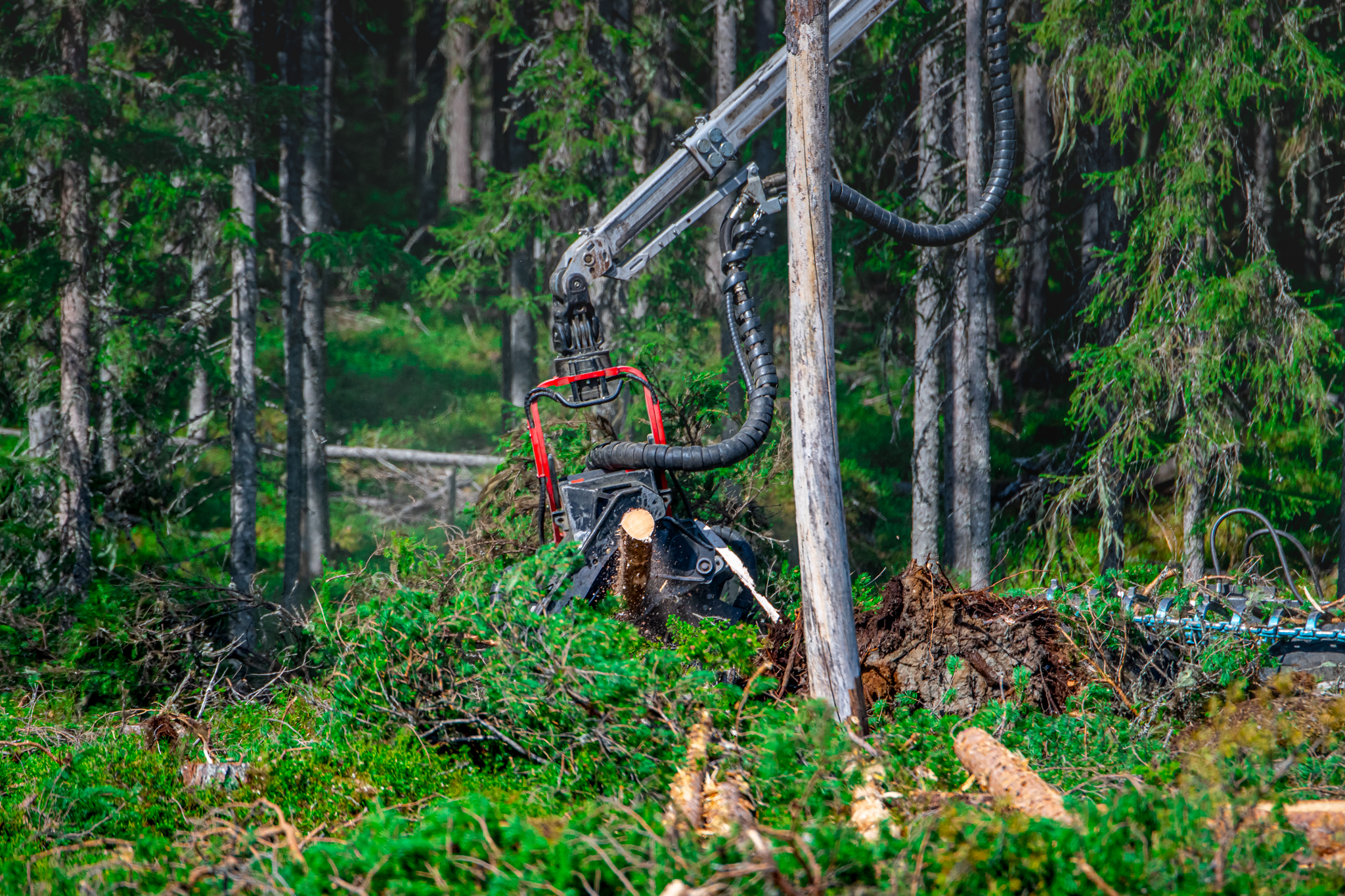 20190522 NKLAB, Fotograf: Sune Grabbe